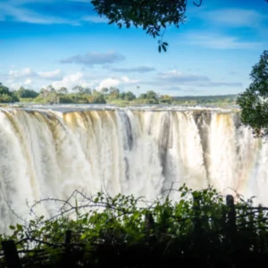 Guided Tour of the Falls